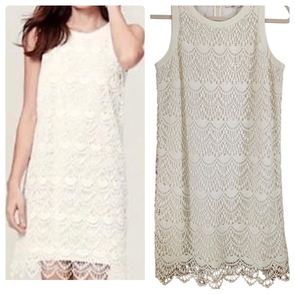 ANN TAYLOR LOFT Crochet Sleeveless Sheath Dress
